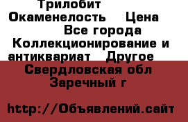 Трилобит Asaphus. Окаменелость. › Цена ­ 300 - Все города Коллекционирование и антиквариат » Другое   . Свердловская обл.,Заречный г.